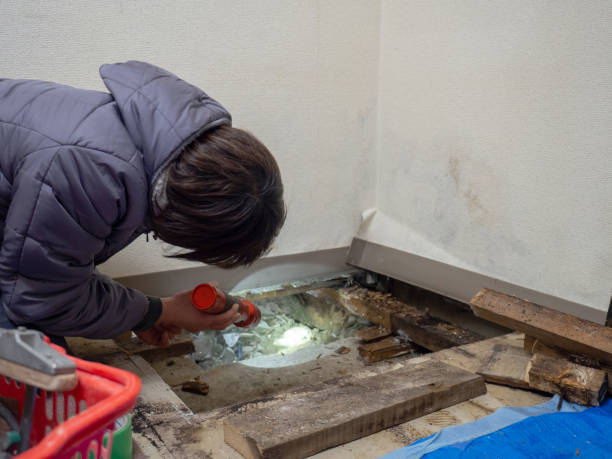 Environmental Consulting for Mold Prevention in Remsenburg Speonk, NY