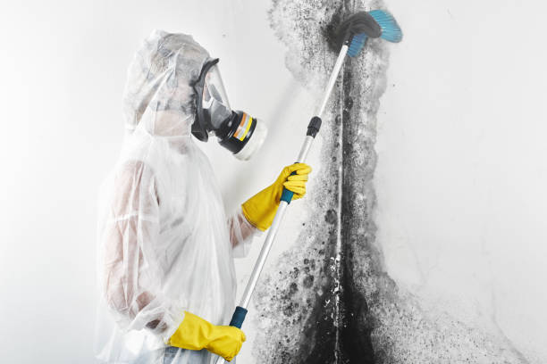 Best HVAC Mold Inspection and Cleaning  in Remsenburg Speonk, NY
