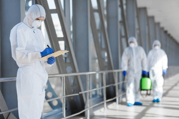Best Mold Odor Removal Services  in Remsenburg Speonk, NY