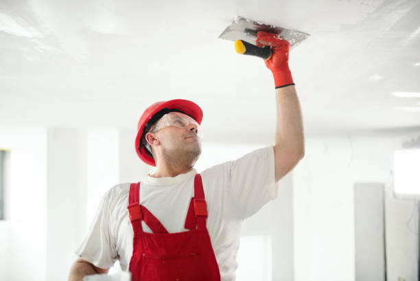 Best Air Quality Testing for Mold Spores  in Remsenburg Speonk, NY