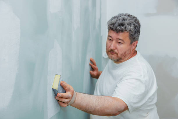 Best Mold Damage Restoration  in Remsenburg Speonk, NY