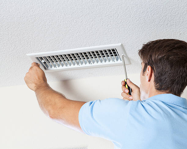 Best Black Mold Removal  in Remsenburg Speonk, NY