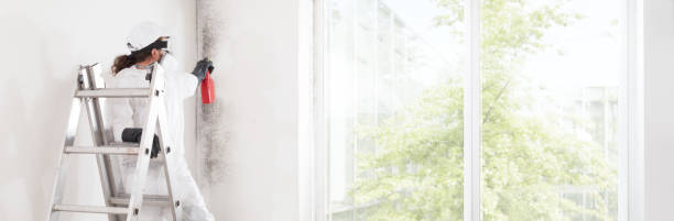Best Mold Removal for HVAC Installations  in Remsenburg Speonk, NY